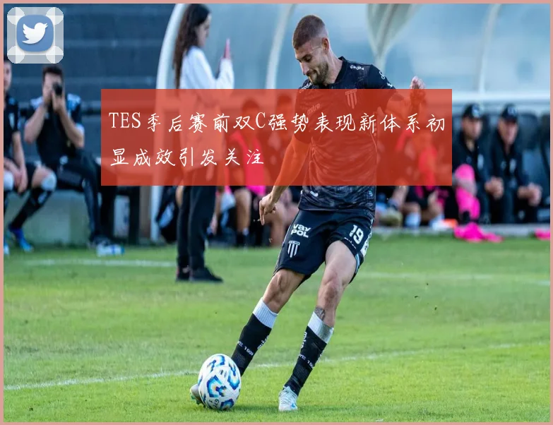 TES季后赛前双C强势表现新体系初显成效引发关注