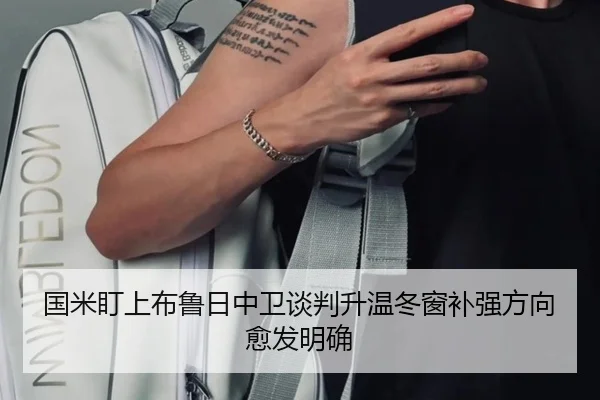 国米盯上布鲁日中卫谈判升温冬窗补强方向愈发明确